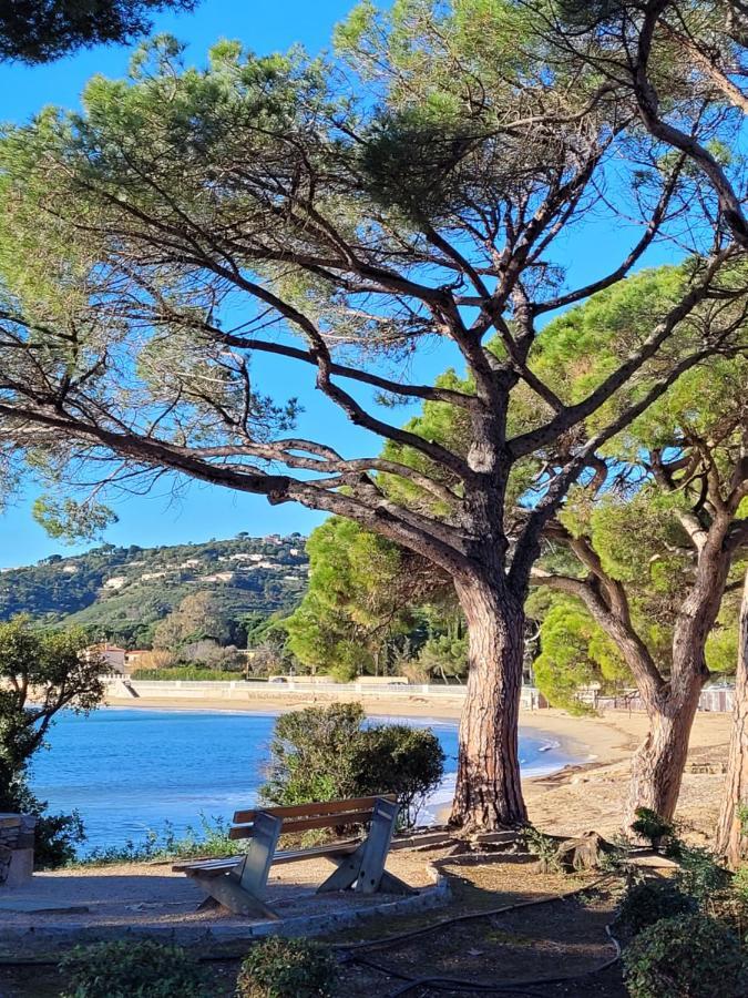 Villa Palm' Issambres 6-7 Personnes, Clim, Avec Piscine, Jardin Et Parking Prives La Garonnette-Plage Εξωτερικό φωτογραφία