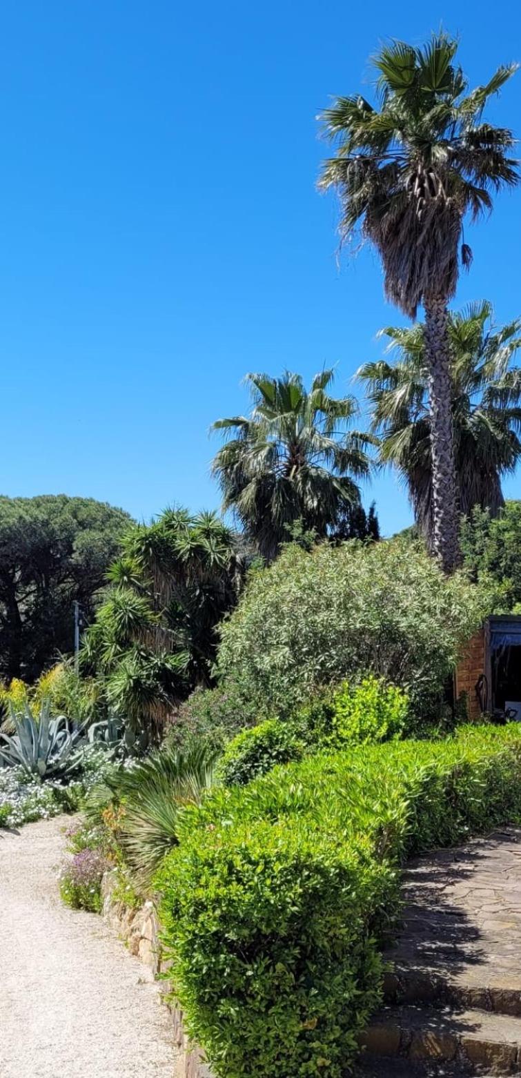 Villa Palm' Issambres 6-7 Personnes, Clim, Avec Piscine, Jardin Et Parking Prives La Garonnette-Plage Εξωτερικό φωτογραφία